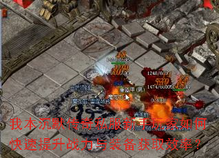 �ұ���Ĭ����˽�����������ο�������ս����װ����ȡЧ�ʣ�