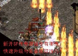 �¿�SF������Ϸ������Щ����������װ����ȡ���ɣ�