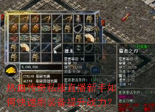 ��Ѫ����˽��ֱ��������ο���ˢװ������ս����