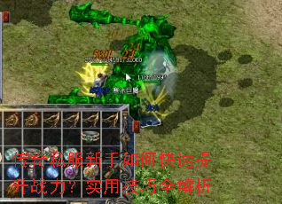 ����˽��������ο�������ս����ʵ�ü���ȫ����