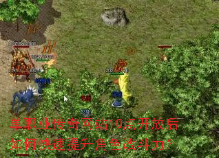 ��ְҵ������վ10�㿪�ź���ο���������ɫս������