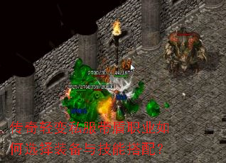 �������˽������ְҵ���ѡ��װ���뼼�ܴ��䣿