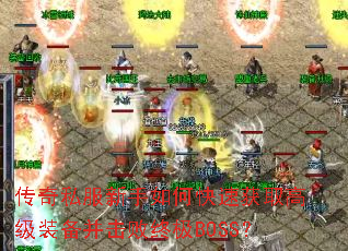 ����˽��������ο��ٻ�ȡ�߼�װ���������ռ�BOSS��