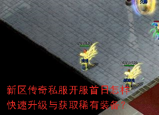 ��������˽�������������������������ȡϡ��װ����