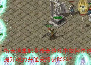 ָ��ص�ְҵ������Ϸ����ο�������ս����ͨ���ռ�BOSS��