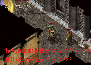 ָ��ص�ְҵ������Ϸ����ο�������ս����ͨ���ռ�BOSS��