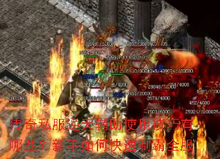 ����˽�����츨��ʹ�ü�������Щ��������ο����ư�ȫ��