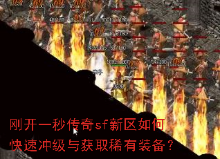 �տ�һ�봫��sf������ο��ٳ弶���ȡϡ��װ����