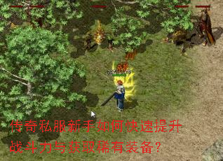 ����˽��������ο�������ս�������ȡϡ��װ����