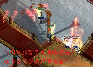 ����˽��������ο�������ս�������ȡϡ��װ����