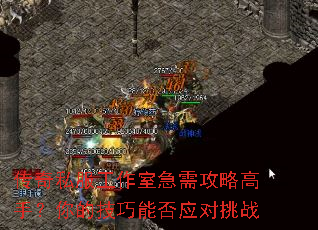 ����˽�������Ҽ��蹥�Ը��֣���ļ����ܷ�Ӧ����ս