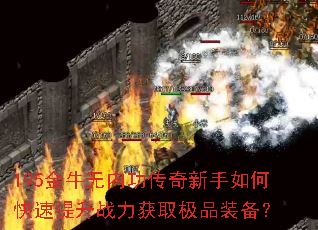 195��ţ���ڹ�����������ο�������ս����ȡ��Ʒװ����