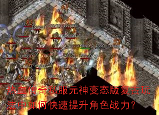 ��Ѫ����˽��Ԫ���̬�渴���淨����ο���������ɫս����