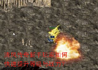 ��紫�����������ο��������ȼ���ս����