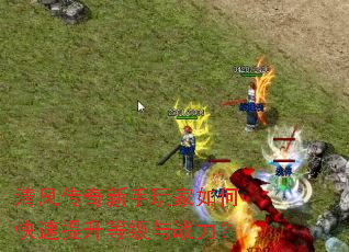 ��紫�����������ο��������ȼ���ս����