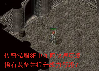 ����˽��SF����ο��ٻ�ȡϡ��װ��������ս���ȼ���