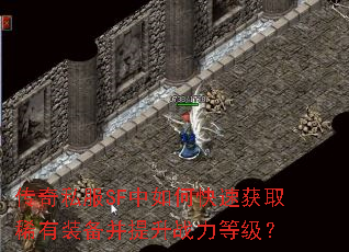 ����˽��SF����ο��ٻ�ȡϡ��װ��������ս���ȼ���