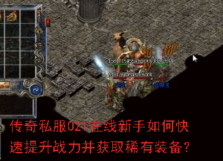 ����˽��021����������ο�������ս������ȡϡ��װ����