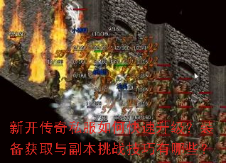 �¿�����˽����ο���������װ����ȡ�븱����ս��������Щ��