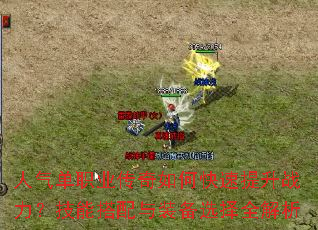 ������ְҵ������ο�������ս�������ܴ�����װ��ѡ��ȫ����