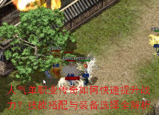 ������ְҵ������ο�������ս�������ܴ�����װ��ѡ��ȫ����