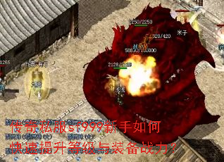 ����˽��sf999������ο��������ȼ���װ��ս����