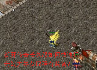 �¿����泤�÷���ο�������ս������ȡϡ��װ����