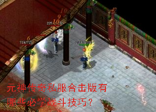 Ԫ����˽���ϻ�������Щ��ѧս�����ɣ�