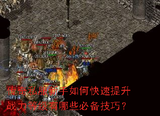 ����˽��������ο�������ս���ȼ�����Щ�ر����ɣ�