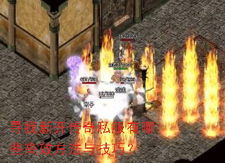 寻找新开传奇私服有哪些高效方法与技巧? 寻找新开传奇私服有哪些高效方法与技巧?