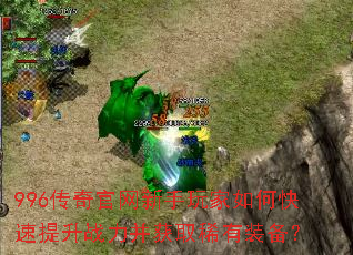 996����������������ο�������ս������ȡϡ��װ����