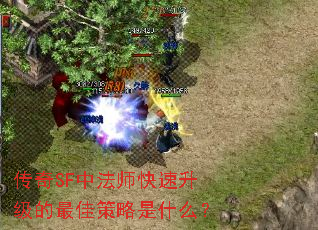 ����SF�з�ʦ������������Ѳ�����ʲô��