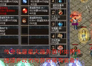 ����˽��������������ο�������ս�����ȡϡ��װ����