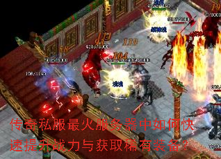 ����˽��������������ο�������ս�����ȡϡ��װ����