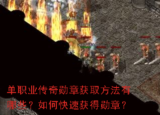 ��ְҵ����ѫ�»�ȡ��������Щ����ο��ٻ��ѫ�£�