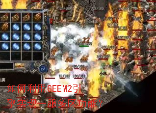 �������GEEM2����ʵ��һ���������ܣ�