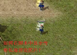 ����ڽű�����ʾ����˽����ϷͼƬ��