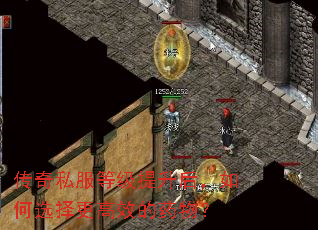 ����˽���ȼ����������ѡ�����Ч��ҩ�