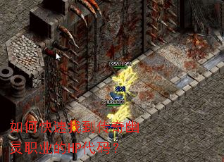 ��ο����ҵ���������ְҵ��HP���룿