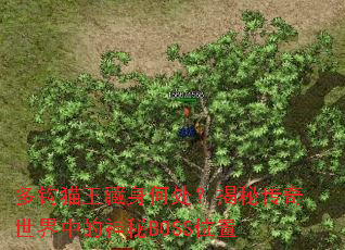 �๳è�������δ������ش��������е�����BOSSλ��