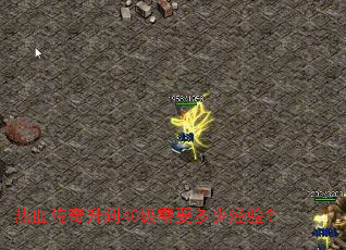 热血传奇升到40级需要多少经验? 热血传奇升到40级需要多少经验?