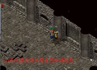 ��ο��ٻ�ô�����������Ƭ��