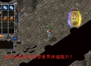 ��ο��ٻ�ô�����������Ƭ��