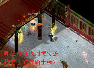 哪里可以找到传奇多钩猫王的准确坐标? 哪里可以找到传奇多钩猫王的准确坐标?