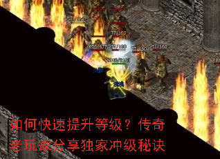 ��ο��������ȼ�����������ҷ������ҳ弶�ؾ�