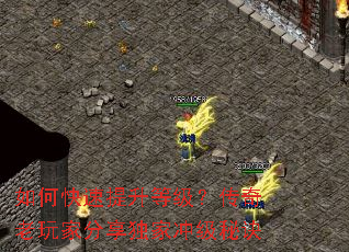 ��ο��������ȼ�����������ҷ������ҳ弶�ؾ�