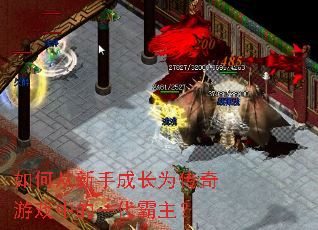 如何从新手成长为传奇游戏中的一代霸主? 如何从新手成长为传奇游戏中的一代霸主?