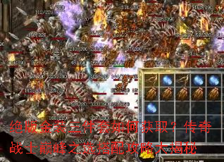 �����װ��������λ�ȡ������սʿ�۷�֮ѡ���乥�Դ����