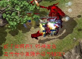 ���������1.95�����ϻ������м��������׬Ǯ��