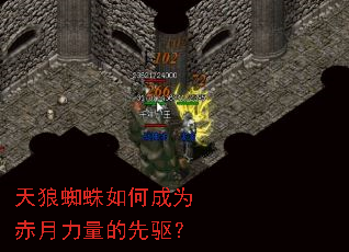 ����֩����γ�Ϊ����������������